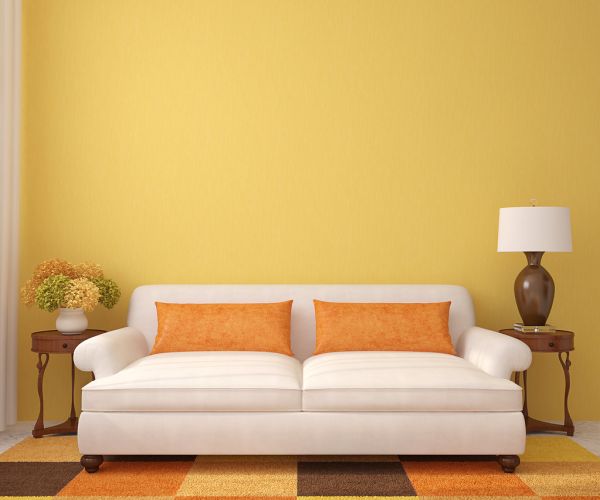 Couch with one mystery stain